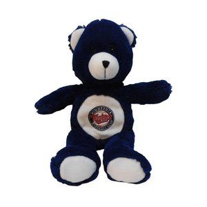 Minnesota Twins Good Stuff 14" Plush 2010 Stuffed Animal Bear